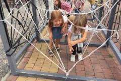 41768520_333584144043635_3651800371535282176_n