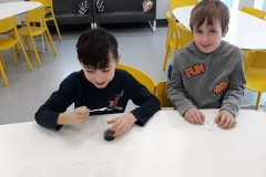 50787635_322824855006851_4553562891730550784_n