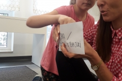 51419539_657364258043911_2100033682537447424_n