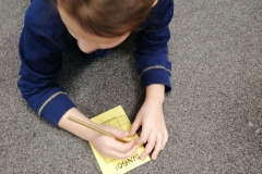 51068976_388463518580005_3945587761058152448_n