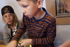70933390_491973718306168_8732032906383327232_n