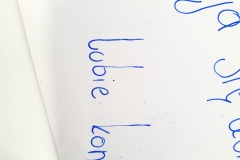 46207839_1874378232679181_8177280310363291648_o