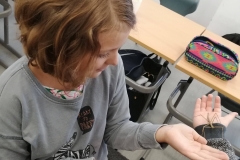 54409157_269943003908261_8352481428050542592_n