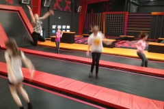 46355195_2202636240015276_6629039269824430080_n