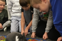 73055810_751266028631928_1268366853973999616_n