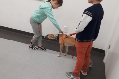 53705902_1550262375107727_8775380963329835008_n