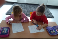 IMG_20190116_110831