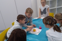 IMG_20190116_111215 (1)