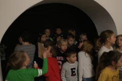 46476197_283665625616479_8107559285908570112_n