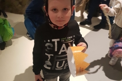 56993981_1864551420317382_6800145445432590336_n