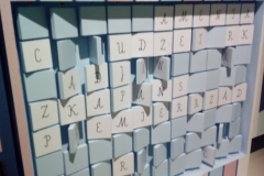 57016912_282405916030595_4195233121685209088_n