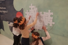 57096926_432214640915756_8600713783091920896_n