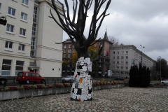 IMG_20181026_105909
