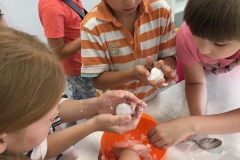 65506341_2274018252633911_5155798021950144512_n