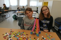 71932762_2394256104024722_3045712479557517312_n