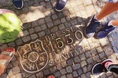 64740159_2362060010719160_896333368000512000_n